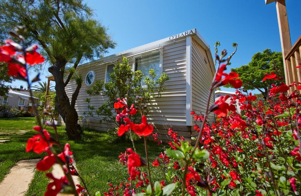 Apartaments Terraza - Salata Mar Росес Номер фото